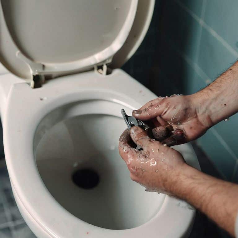 You Did It: Toilet Troubleshooting Mastery
